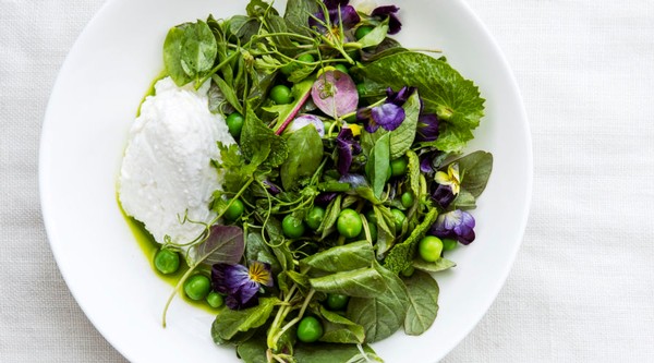 spring_greens_and_peas_with_ricotta_and_lemon_salad