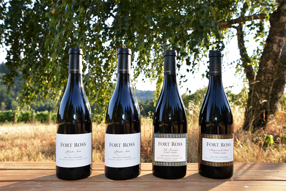 National Pinot Noir Day 4-Pack